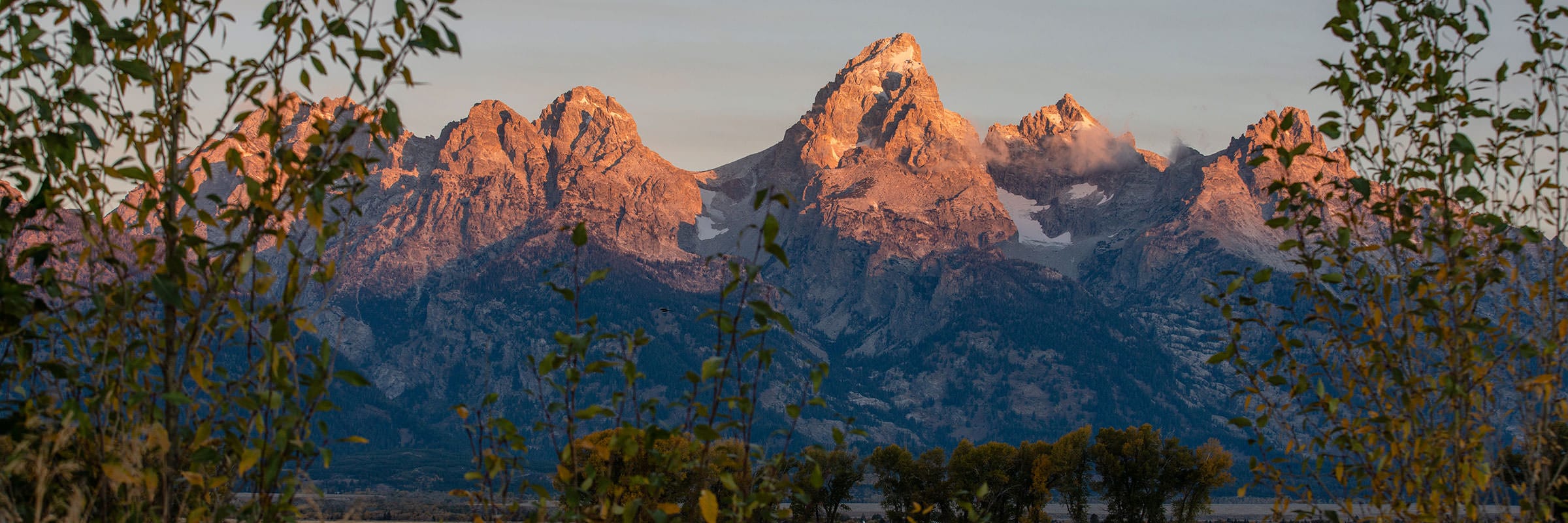 Willow Street Group prioritizes citizenship in Jackson Hole Wyoming